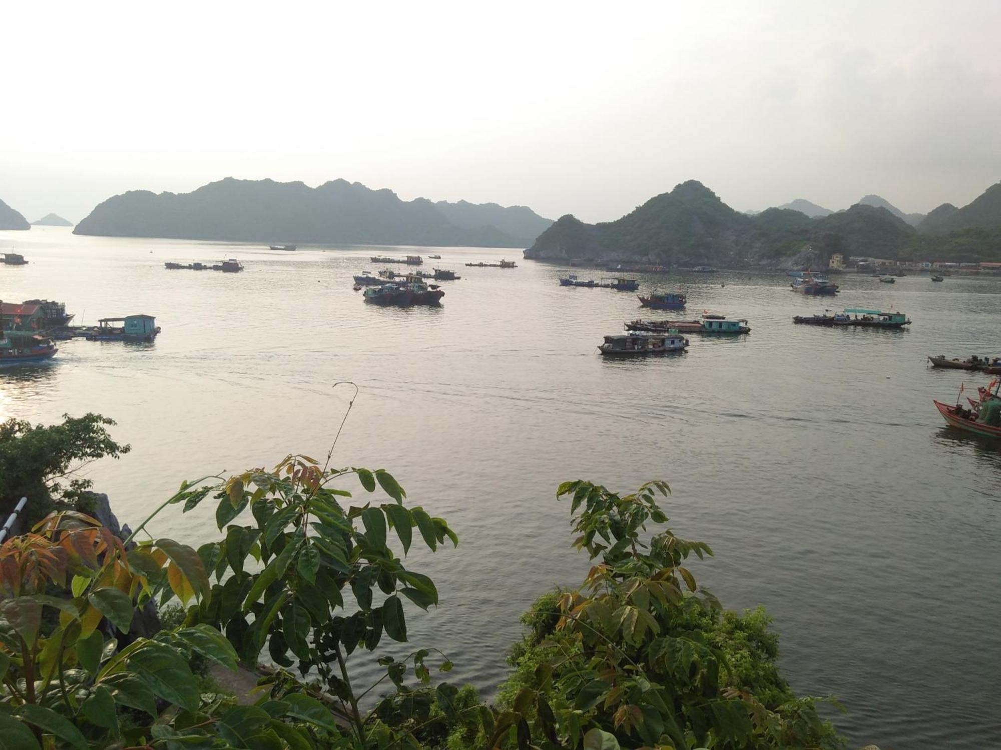 Cat Ba Victory Hostel Dong Khe Sau Екстер'єр фото